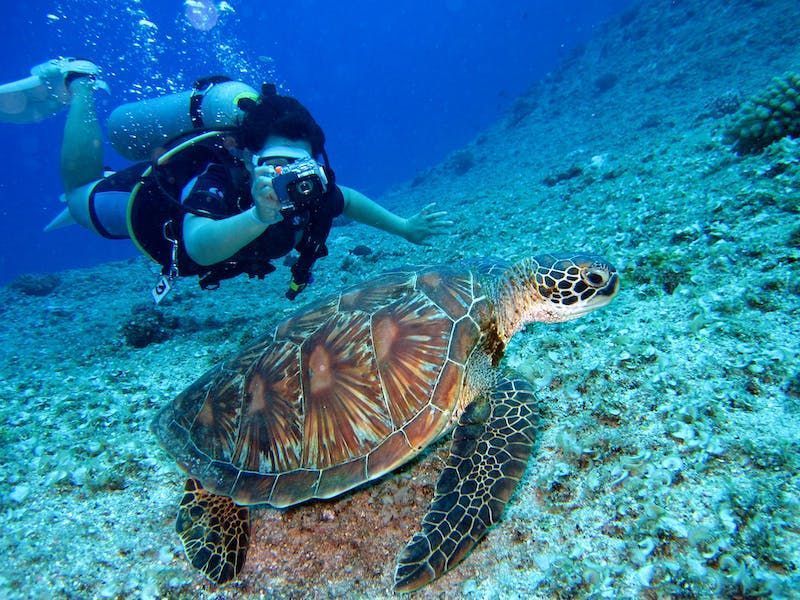 ¿Hay experiencias de buceo en Tulum para principiantes?